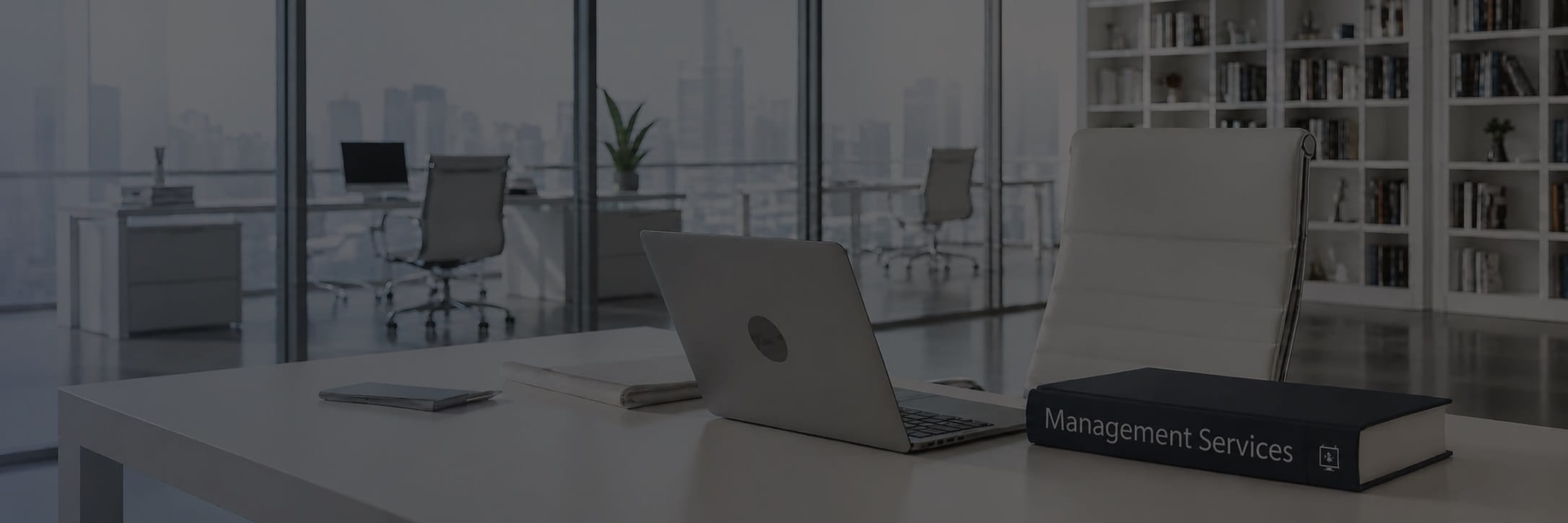 Future of Accounting